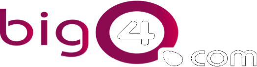BIG4COM Logo